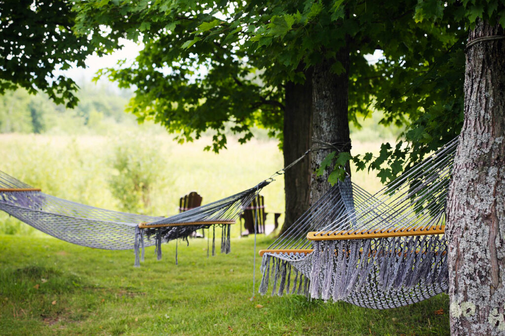 secluded place, trees, relaxation