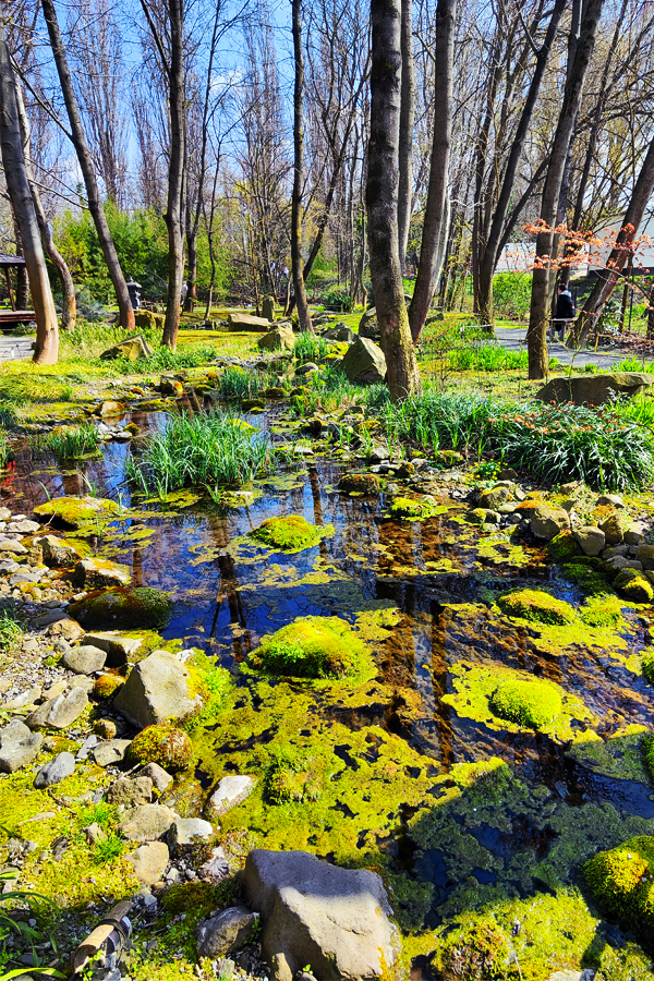 botanical garden