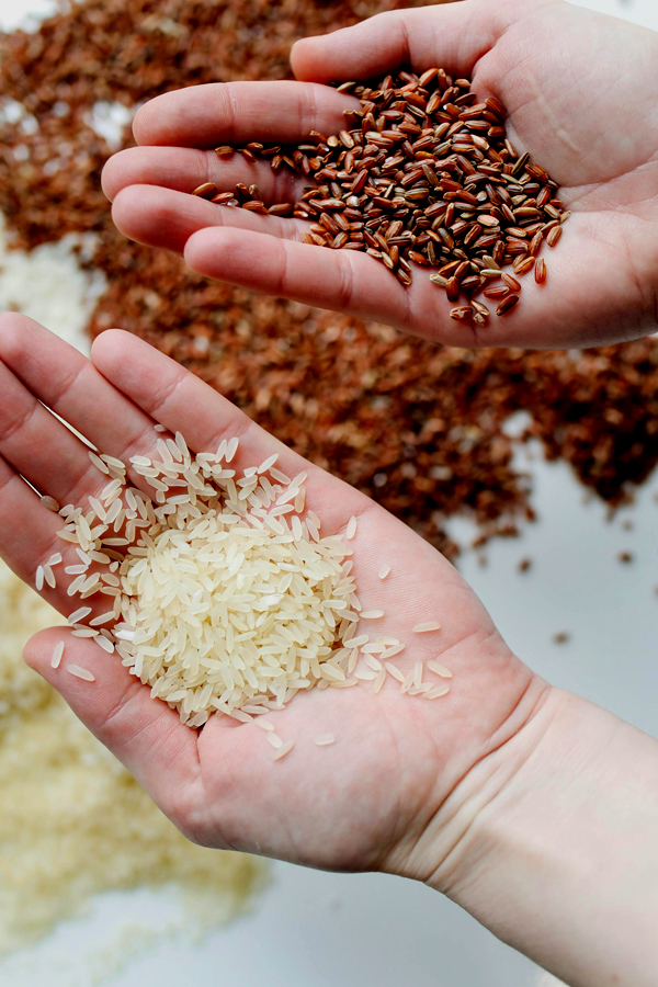 types of rice