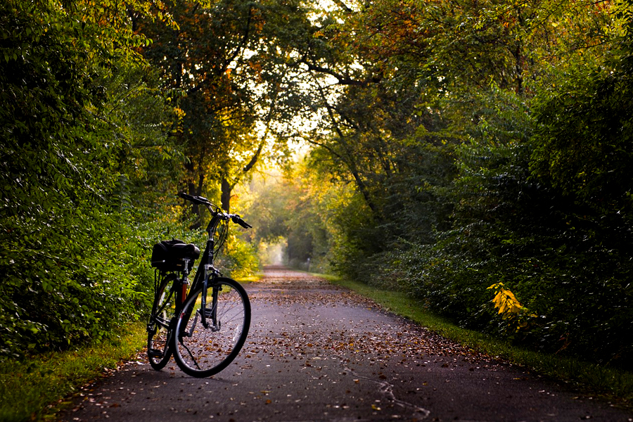 motivation bicycle autumn