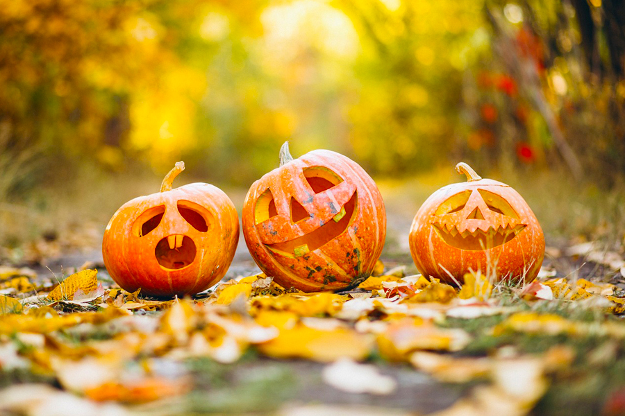 autumn pumpkin decoration